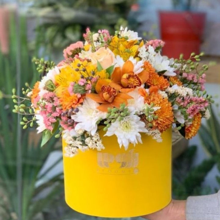 گل فروشی کلاسیک باکس گل بهاره
باقیمت مناسب
قیمت:۲۰۰۰۰۰هزارتومان