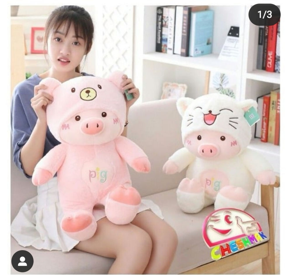فروشگاه عروسک چشمک شاپ خاص ترین خوک چشمکی و رونمایی می کنیم   فروش آنلاین چشمک: 125000 تومان