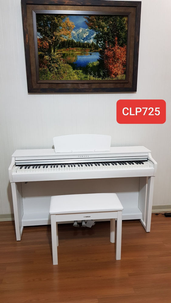 موسیقی سیامک پیانو دیجیتال یاماها کلاویه ۸۸ کلید سنگین از نوع GHS تاچ کلاویه چند مرحله ای پلیفونی ۱۹۲ و امکانات پیشرفته و مدرن برای آموزش و اجرای پیانو 
مبله شرکتی و سازنده کشور اندونزی یاماها 
رنگبندی سفید مشکی قهوه ای 
سه پدال فعال مدل YDP 144 ...164  .P45 .P0125
پیانو حرفه ای CLP 735...CLP 745...CLP 635
تفکیک صدای زیر و بم جنس صدای پیانو گرند 
مناسب حرفه ای ها 
نمایندگی و خدمات پس از فروش کمپانی یاماها
گارانتی ۳ساله
کلیه ی مدلهای دیجیتال یاماها موجود میباشد
سطح آموزشی نیمه حرفه ای و حرفه ای
ارتقاء  به مدلهای حرفه ای و آکوستیک فقط با یک تماس
شرایط پیش پرداخت و اقساط به مدت محدود 
با ما در ارتباط باشید
مشاوره و اطلاعات بیشتر و فرم اقساطی تماس بگیرید
هر خانه ایرانی یک پیانو 
با تشکر از دیوار