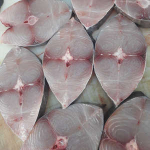 ماهی ومیگوی دریایی هندیجان