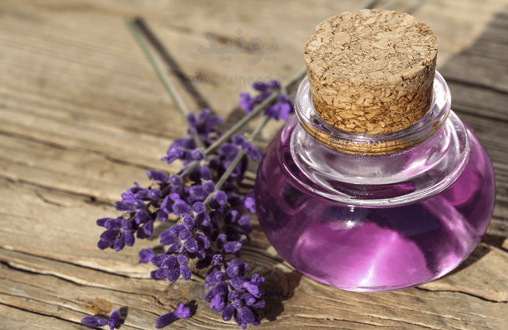از خواص روغن اسطوخودوس چه می‌دانید؟