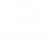 MLMBIZ | محصولات آموزشی ام ال ام