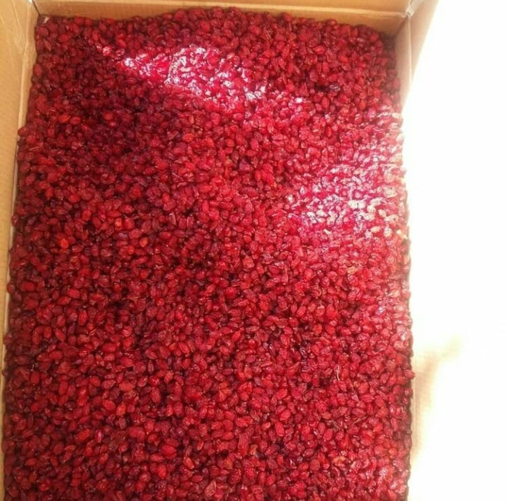 فروش زعفران و زرشک درجه یک و اعلا از پایتخت زعفران مفید برای همه چی😂بصورت خلاصه گفتم براتون😂😅
حالا به دور از شوخی و خنده بریم ک معرفی کنیم این محصول قرمز رنگ خوشمزه رو :
زرشک رو بخیسونید و بخورید عالیه برا سیاهی زیر چشم و سفیدی پوست امتحان شده است😊🤭
شوهر من قندش بالاست برای کنترل قند میخوره منم کنارش میخورم🤗 خیلی خوب و مفیده
اگه نگران ترشی این محصول هستید برا اینم چاره داریم براتون با عناب خیس کنید و بخورید شیرین میشه عالیه یعنی مزه اش بی نظیره بین ترشی و شیرینیه 😋😋 آخ ک دلم خواست😅😂
زرشک  رو بشورید عنابم بشورید( عناب با گوشکوبی چیزی بشکونید) مساوی خیس کنید ناشتا بخوریدبرای پاکسازی خون و کبد و معده عالیه عالی ☺️🌹
💟💌💖💗💓💞💕❣️💔🤎🖤🤍♥️❤️🧡💛💘💝💜💙💚
از دیگر مزایای این محصول میتونیم به موارد زیر اشاره کنیم:
زرشک برای کمک به درمان التهاب و عفونت 
زرشک برای کمک به درمان عفونت های مجاری ادراری
زرشک برای کمک به درمان عفونت های دستگاه گوارش
زرشک مفید برای گلودرد
زرشک مفید برای درمان اسهال
زرشک باعث بهبود هضم می شود
زرشک برای درمان کم خونی
💚💙💜🤎🖤🤍♥️❤️🧡💛💘💝💔❣️💕💞💓💗💖💌💟
خلاصه دوست جونیا 
این ها خلاصه ای از فواید زرشکه ک گفتم براتون سوالی داشتید در خدمتم 😊🌹
میتونید تو اینترنت هم از مزایای بیشتر این محصول مطلع بشید من همینقدر میتونستم براتون اطلاعات جمع کنم 
امیدوارم ک استفاده کنید و همیشه صحیح و سالم باشید😊🌼🌸