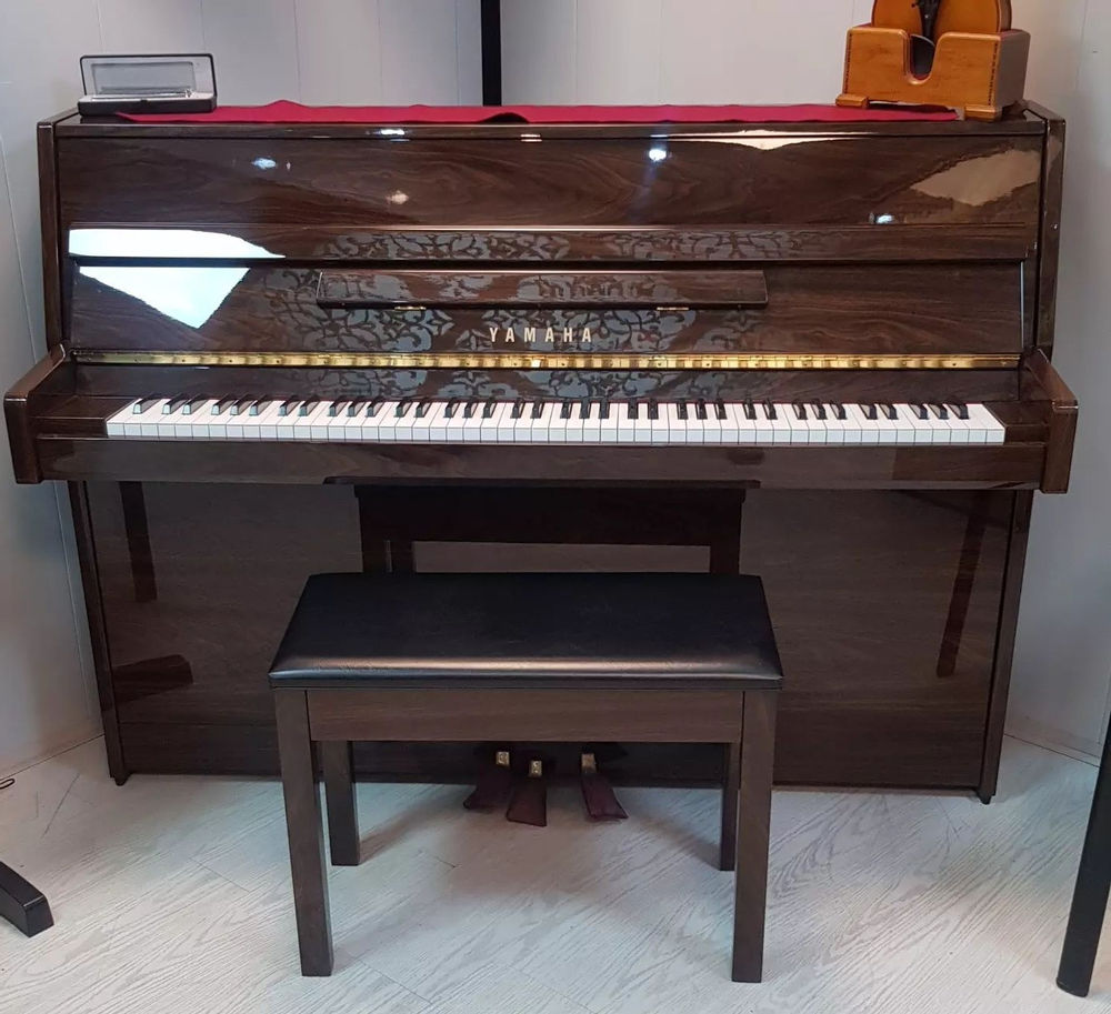 موسیقی سیامک پیانو دیجیتال یاماها ساخت کشور اندونزی قطعات ژاپن مدل CLP کلاوینوا کمپانی یاماها CLP 745.735
پیانو آریوس اندونری یاماها سری YDP 144...103...164
تکنولوژی Vrm تاچ کلاویه چند مرحله ای از جنس عاج و آبنوس عملکردی شبیه آکوستیک تفکیک صدای زیر و بم پلیفونی ۲۵۶ و امکانات مدرن 
مناسب برای آموزش،تمرین و اجرای پیانو 
۳۶ ماه گارانتی شرکتی و آداپتور اصلی 
به همراه صندلی فابریکی و هدیه کتاب ۵۰ آهنگ
شرایط پرداخت اقساطی به مدت محدود 
پیش پرداخت مناسب و تعداد اقساط ۲۴ ماهه
با شما هستیم برای یک انتخاب خوب
هرخانه ایرانی یک پیانو 
با تشکر از عوامل محترم سایت محبوب