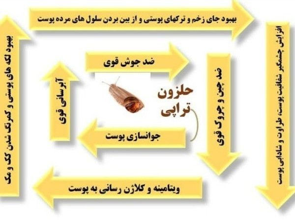 فروش حلزون طبی زیبایی اسکارگوت پرورشی مرکز ایزوله پرورش و فروش حلزون طبی بوتیا
➿ارائه مرغوب ترین و پرتحرک ترین حلزون های اسکارگوت➿
جشنواره فروش
 حلزون ها بالغ می باشند و قابلیت تخم ریزی دارند
➖➖➖
❌❌پرورش در شرایط ایزوله و ۱۰۰% بهداشتی و آنتی باکتریال❌❌
قیمت هر حلزون ده تومن
هر ده عدد= یک عدد اشانتیون
با ضمانت تعویض
➖➖➖➖
✔اماده ارائه خدمات به مراکز درمانی ، سالن های زیبایی زنانه و پیرایش مردانه، کلینیک های طبی سنتی و زیبایی و ..
➖➖➖➖
میزان کلاژن دهی عالی
یکبارخرید با کیفیت=یکسال استفاده=مشتری دائم ما خواهید شد
➖➖➖➖➖
 ❎خاک بستر استریل
❎کلسیم نود و هفت درصد جهت ضدعفونی 
❎میکس غذای مخصوص جهت تقویت و شادابی موجود می باشد
➖➖➖➖➖
آموزش شیوه نگهداری 
 آموزش حرفه ای و تخصصی شیوه استفاده بصورت درمانی و یا در سالن با جزئیات و رفع  اشکال بصورت رایگان همراه با بروشور و فیلم آموزشی

❌❌همچنین، پیله ابریشم صددرصد طبیعی موجود می باشد. شیوه استفاده رایگان
خرید عمده=تخفیف
♀️پک کامل حلزونتراپی جهت مصارف خانگی موجود میباشد
✔همکاری با بیش از هزار سالن زیبایی در سراسر ایران
ارسال از کرمان بدون تلفات و تضمینی
ارسال کرمان رایگان