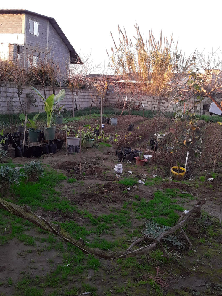 پرورش وتولیدکننده زمین کشاورزی در منطقه مازندران.مناسب برای تولیدات گلخانه ای..ولوکس بازارپسند نیازمند فوری  سرمایه‌گذاری وشریک.مالی
جهت.احداث.وراه اندازی گلخانه 
از۳۰۰م تا سقف۷۰۰م
بازدهی اصل سرمایه توسط تولید.کمتراز۱۵ماه

سودهی عالی ..پرداخت سود به سرمایه گذار وشریک مالی هر۳ماه
بازپرداخت اصل سرمایه کمتراز۳ونیم سال یا با توافق طرفین

جهت کسب اطلاعات بیشتر تماس بگیرید ممنون