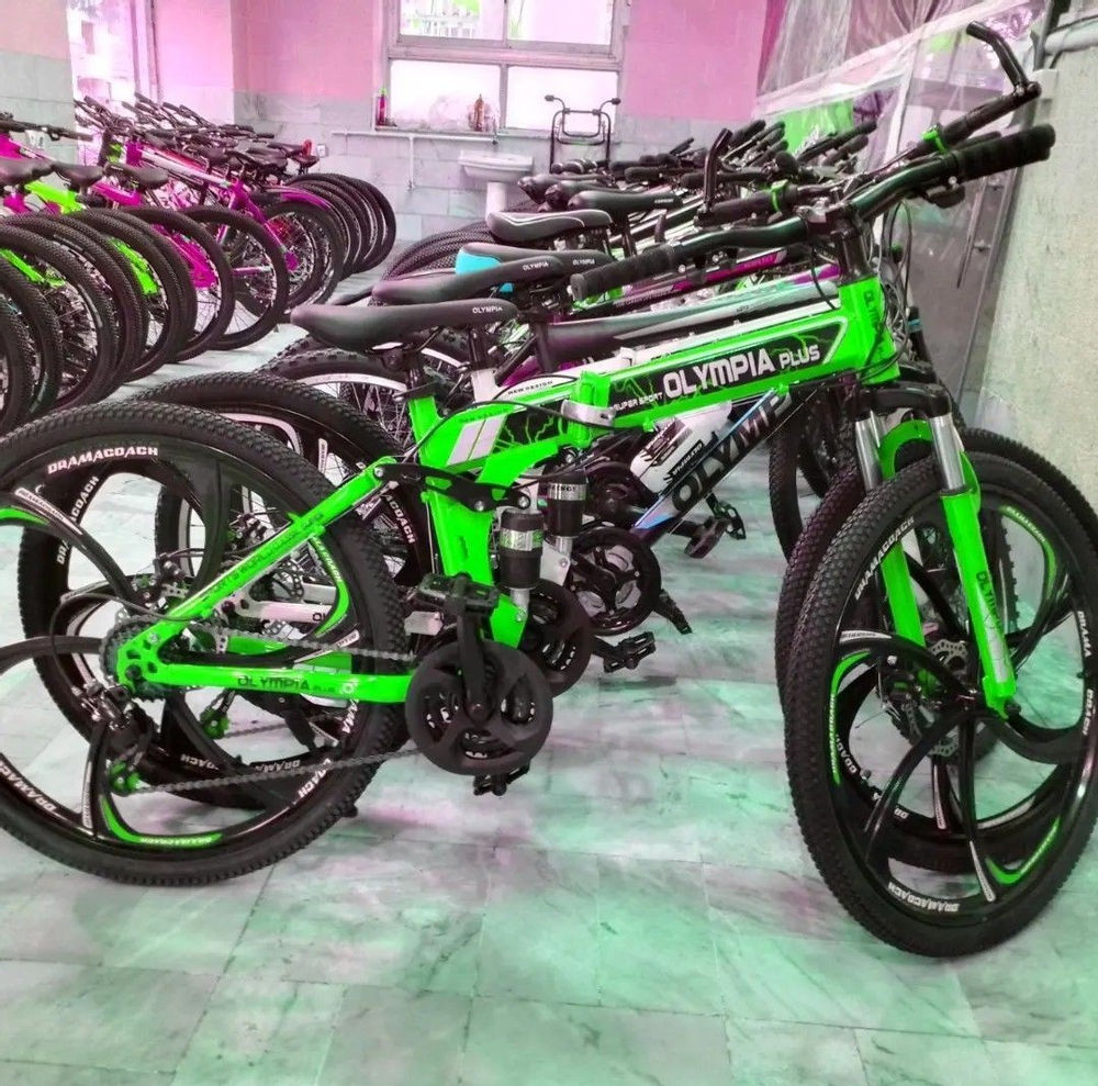 دوچرخه تاشو رینگی تایوانی