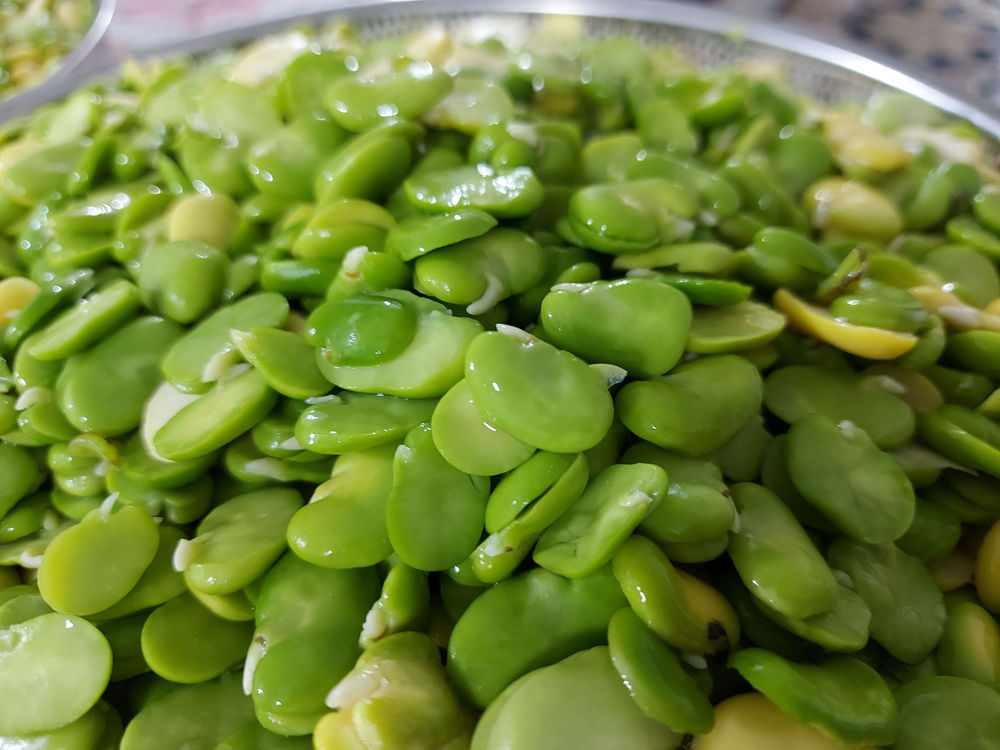 محصولات خانگی کد بانوی ایرانی باقالی سبز تازه 
در بسته بندی یک و نیم کیلویی 
آماده طبخ تمیز و پاک شده