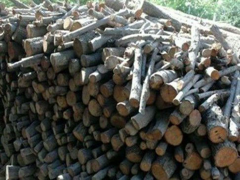 خرید انواع چوب ضایعاتی درختی نقد