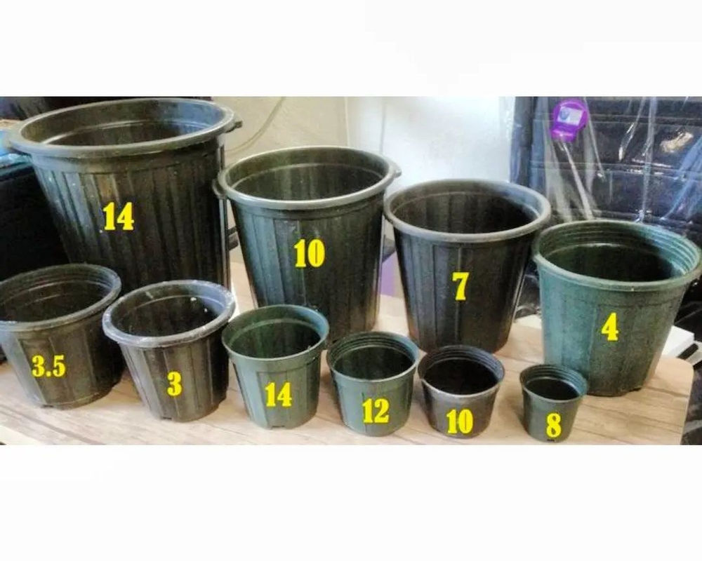 گلخانه آرتا کشت پرلیت اصل سریلانکا حجم ۷۰ لیتر ۱۸۰ تومن ، کوکوپیت دانه متوسط کیسه های بزرگ ۱۲۰ تومان ، گلدان های مشکی پلاستیکی در سایز های مختلف به قیمت عمده