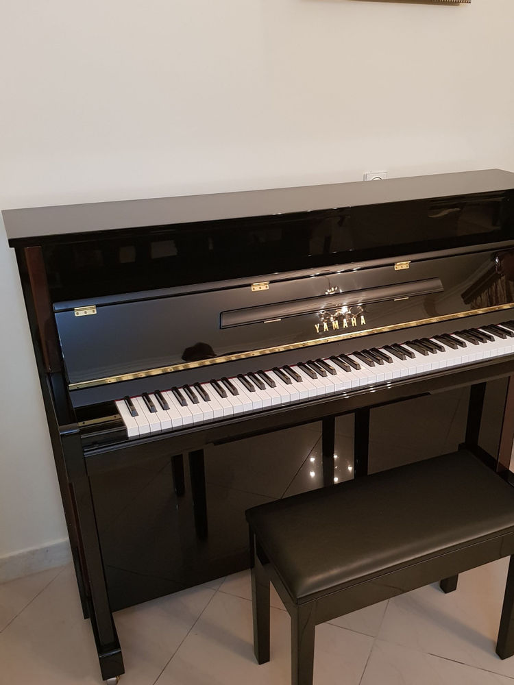 موسیقی سیامک پیانو آکوستیک یاماها مدل JX - 113 
اکشن ژاپن قطعات ژاپن 
کلاویه منحصر به فرد 
سریال بالا مشابه آکبند 
بدون‌خط و خش اکازیون و به قیمت 
۱۰ سال گارانتی و همراه صندلی
اطلاعات بیشتر تماس بگیرید